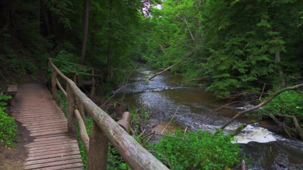 Reserva natural Cascatas no rio Tanew (Szumy nad Tanwia), Roztocze, Polónia. Rio que flui através da floresta verde no verão. — Vídeo de Stock
