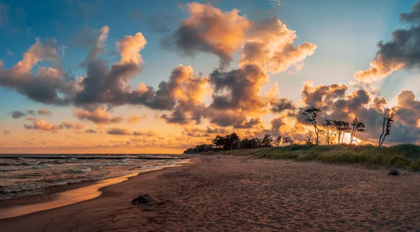 Hermoso Amanecer Mar Báltico Árboles Playa Arena Agua Nubes Hierba —  Fotos de Stock