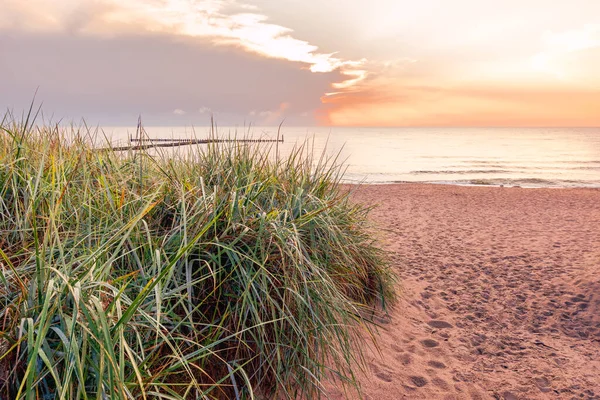 Toegang Tot Een Prachtig Leeg Strand Aan Oostzee Zandstrand Hoog — Stockfoto