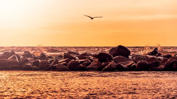 Vagues Brisant Dans Brise Lames Fait Roches Dans Soleil Soir — Photo