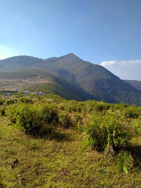 Schöne Deomali Hügel Oben Auf Koraput Bezirk Von Odisha Besten — Stockfoto