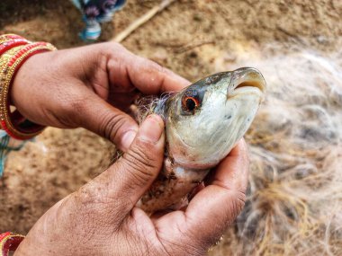 Balık ağıyla balık yakalamak ve ağla balık tutmak