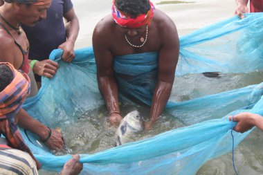 Asya 'da balık tutan balıkçılar büyük balık avlıyorlar.