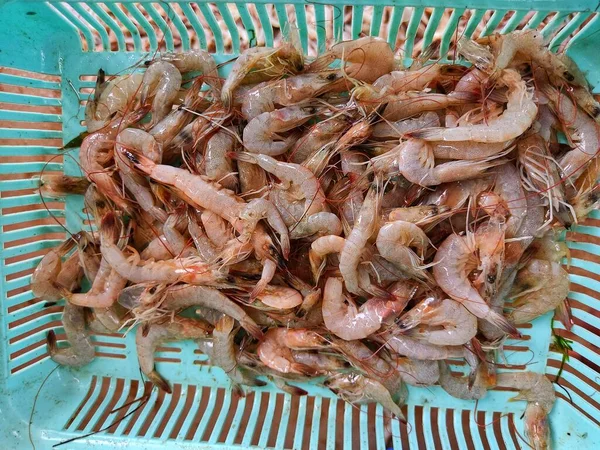 Crevettes Blanches Indiennes Dans Panier Vendre Dans Marché Aux Poissons — Photo