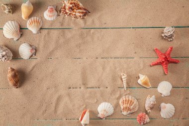 Seashellson kum zemin üzerine çerçeve. Metin için yer