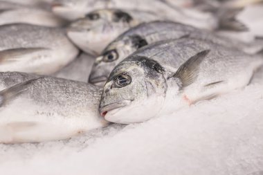 birçok balıktır üstünde belgili tanımlık sayaç buz