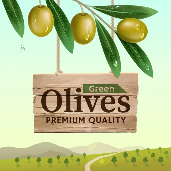 Étiquette des olives vertes. Branche d'olivier réaliste. Bannière en bois. Eléments de conception pour l'emballage. Illustration vectorielle — Image vectorielle