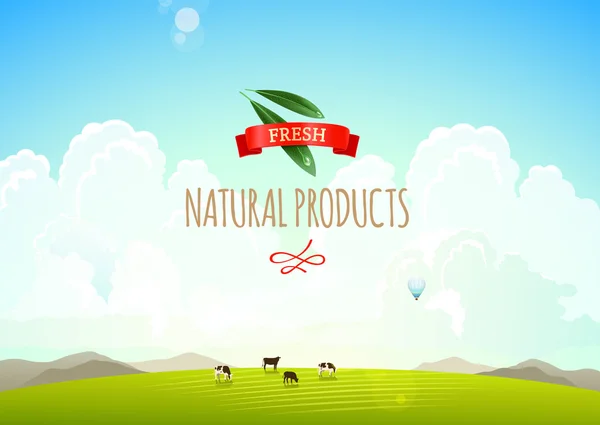 Ilustración del paisaje natural con montañas, colinas y nubes. Vacas en un prado verde. Concepto de productos frescos y naturales — Vector de stock