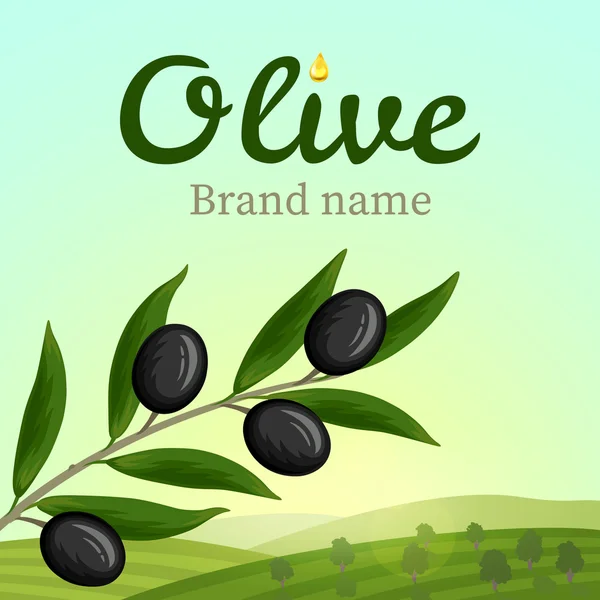 Étiquette olive, logo design. Branche d'olivier. Illustration vectorielle — Image vectorielle