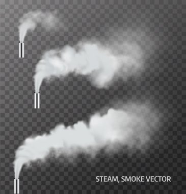 stock vector