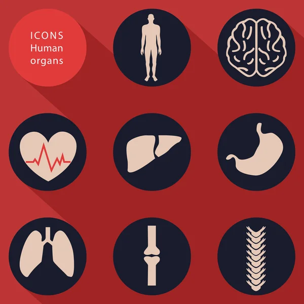 Icônes médicales, corps humains, design plat, vecteur — Image vectorielle