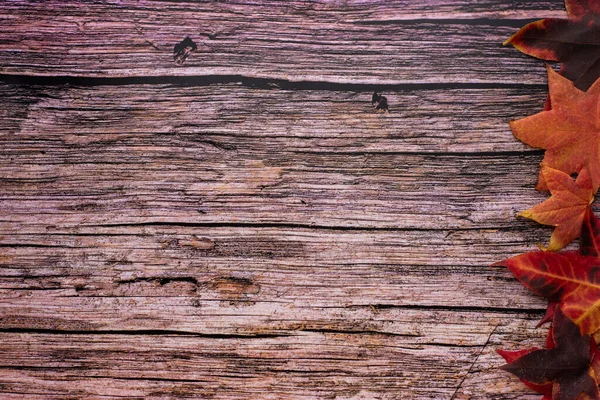 Jesienne Liście Drewnianym Stole — Zdjęcie stockowe