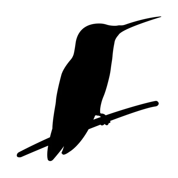 Silhouette d'oiseau — Image vectorielle