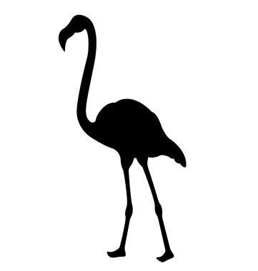 Flamingo kuşları Silhouettes