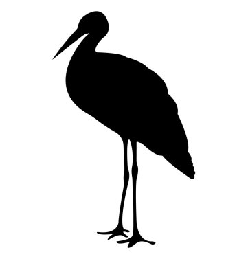 Leylek Kuş Silhouettes