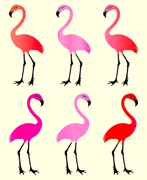Фламинго. 6 вариаций цвета . — стоковый вектор