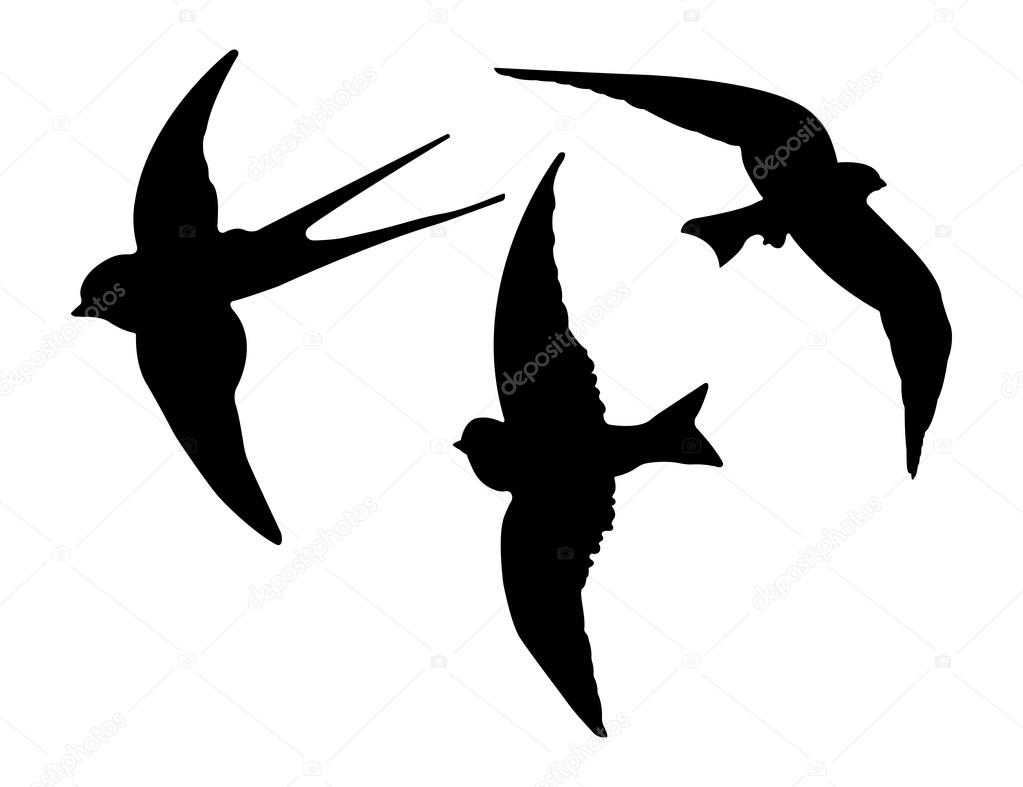 Birds Silhouettes. Vector Image EPS 10 Format.