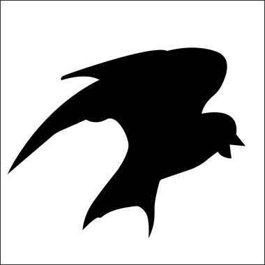 Kuş siluet. Vektör.