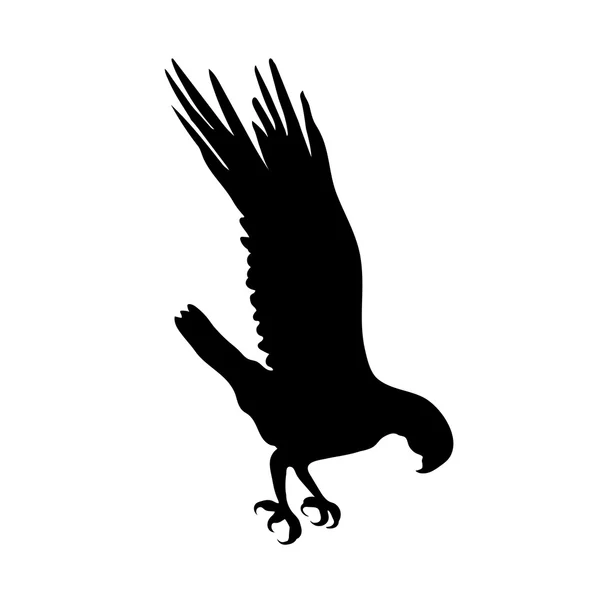 Vogelsilhouette. — Stockvektor