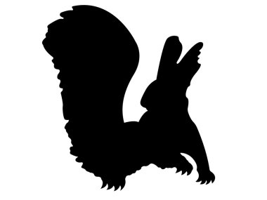 Sincap hayvan siluet