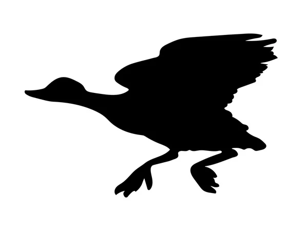 Silhouette oiseau canard — Image vectorielle