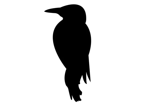 Silhouette oiseau pic — Image vectorielle