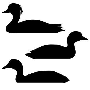 Canvasback Coot Tufted Duck Silhouettes clipart