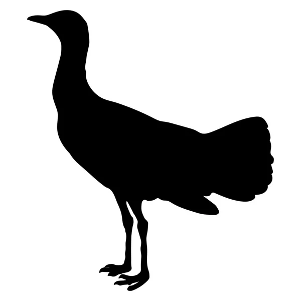 Vecteur de silhouette Bustard EPS 10 — Image vectorielle