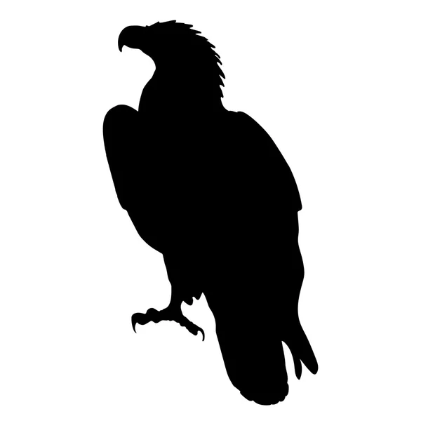 Eagle silhouet Vector Eps 10 — Stockvector