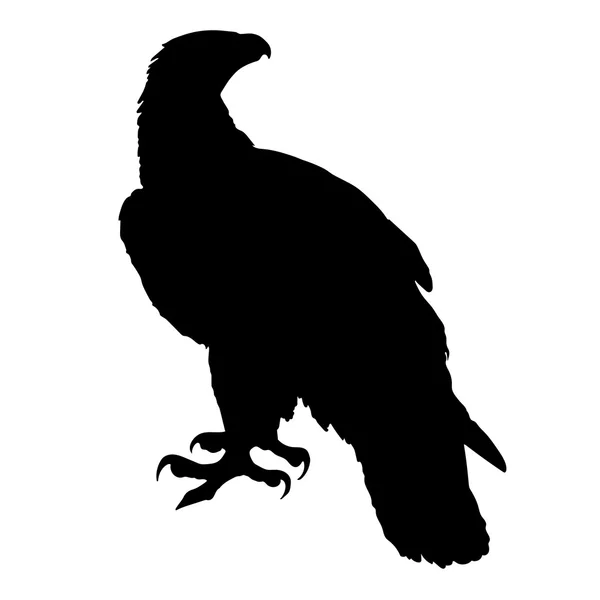 Golden Eagle Silhouette — Stock Vector