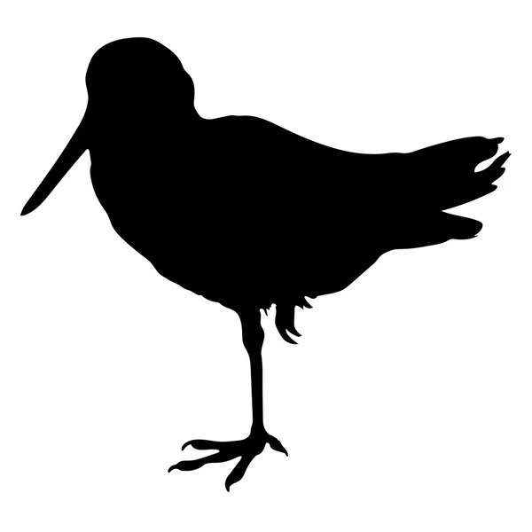 Grote Snipe silhouet — Stockvector