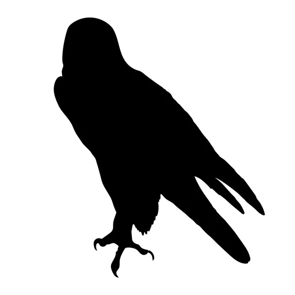 Silhouette de faucon pèlerin — Image vectorielle