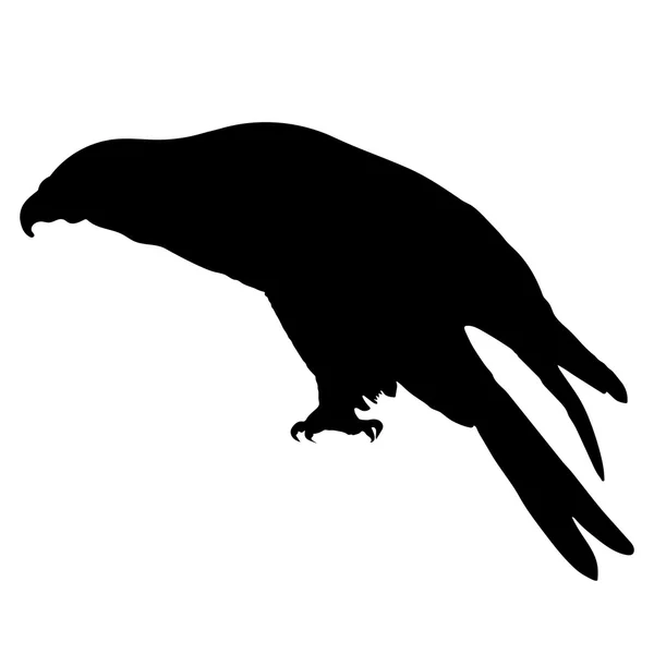 Vecteur de silhouette de cerf-volant EPS 10 — Image vectorielle