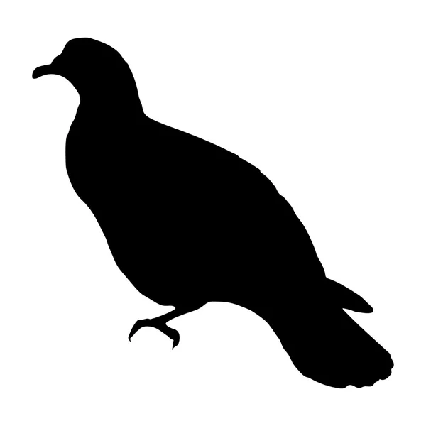 Silhouette de colombe en stock — Image vectorielle