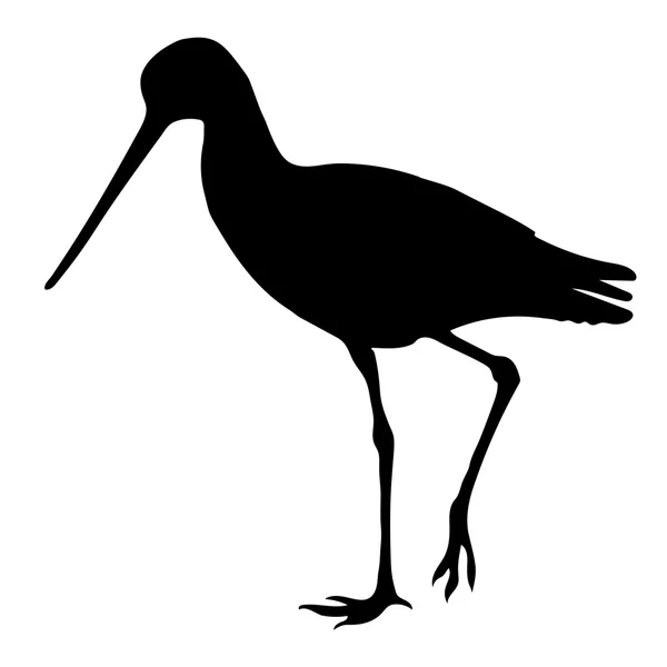 Strandläufer Vögel Silhouetten — Stockvektor