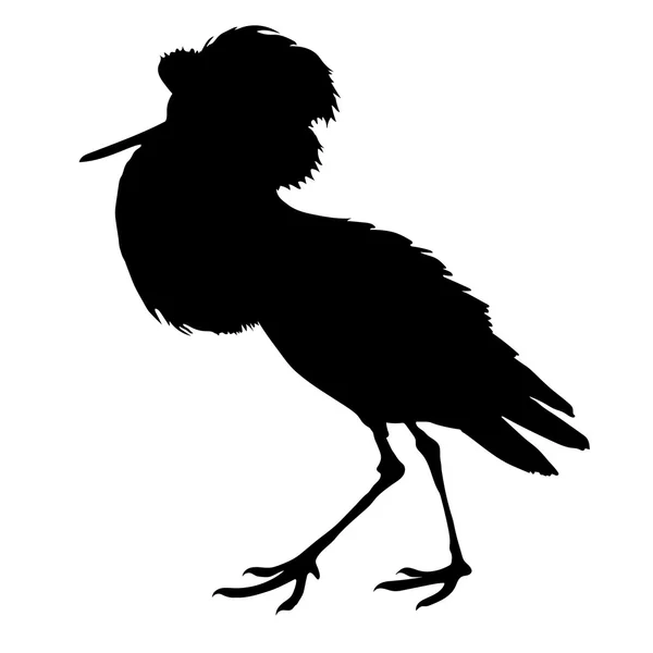 Watersnip vogels silhouetten — Stockvector