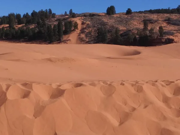 Coral Pink Sand Dunes Kanab Eua — Fotografia de Stock