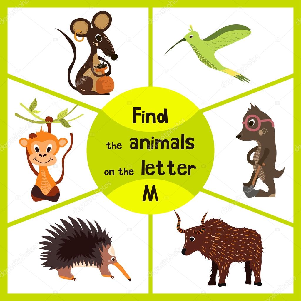 Funny learning maze game, find all 3 cute wild animals with the letter M, field mouse, macaque monkey tropical and insect-eating mole. Educational page for children. Vector