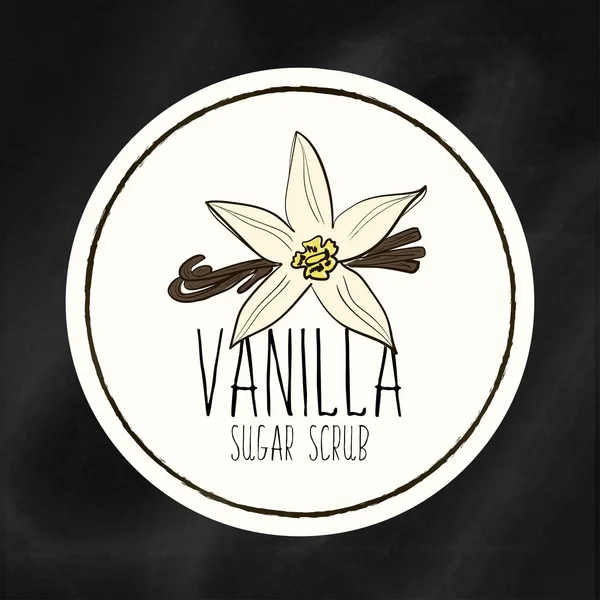 Satu set label dengan infrastruktur staf untuk kesehatan dan kecantikan. Vanilla gula scrub untuk tubuh, tangan dan wajah. Tag Vektor - Stok Vektor