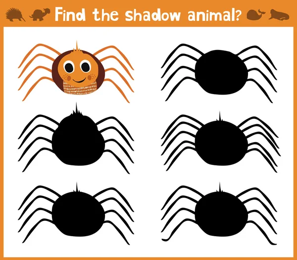Dibujos animados vector ilustración de la educación encontrará adecuada sombra silueta animal araña. Juego a juego para niños en edad preescolar. Vector — Vector de stock