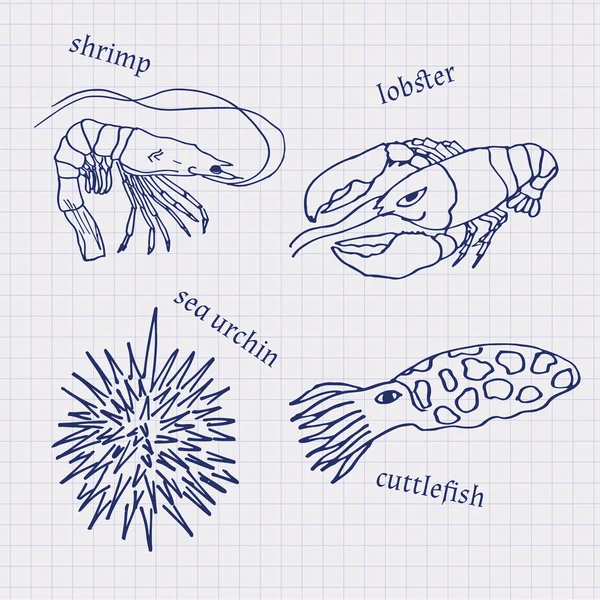Dibujos en sus cuadernos en una jaula de animales marinos y mariscos sepia, langosta, erizo de mar, camarones — Archivo Imágenes Vectoriales