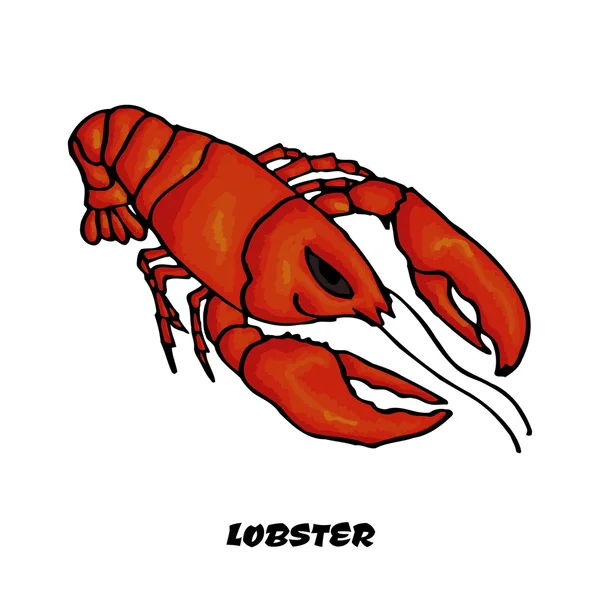 Colorful sketch lobster as a design element — Stock vektor