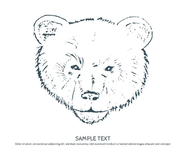 Vintage label bear T-Shirt Print Stock Illustration