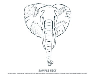 SKETCH elephant Head.