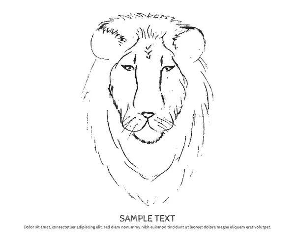 Cabeça de leão esboço — Vetor de Stock