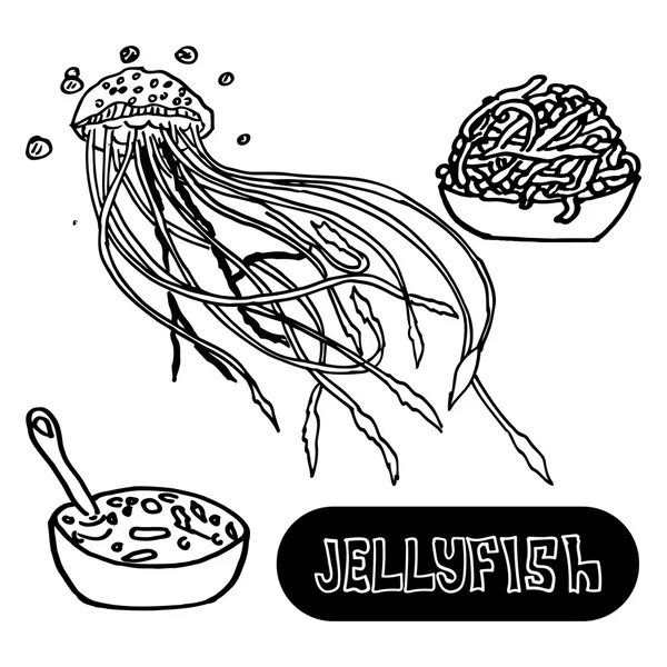 Seafood soup of jellyfish. Sea jellyfish from China yellow sea — 图库矢量图片