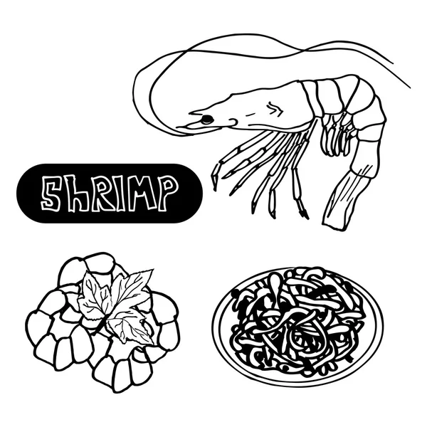 Set seafood with shrimp, spaghetti with shrimp . — Stock Vector