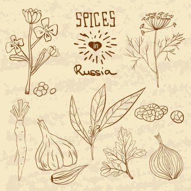 Spices in Russia. A collection of distinctive spices for the Russians.