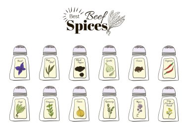 The best seasoning for beef. A collection of stand-alone web design elements