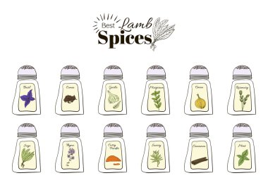 Best seasoning for Lamb. A collection of stand-alone web design elements